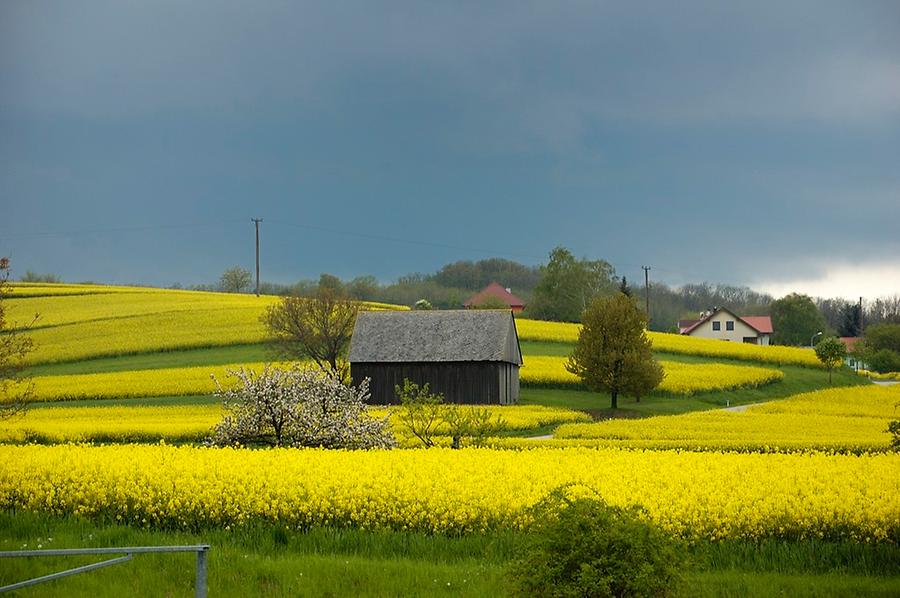 Zistersdorf - Windisch Baumgarten