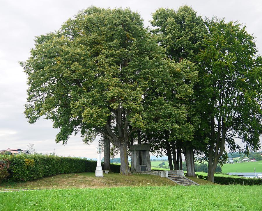 Frankenburg am Hausruck - Bauernkrieg-Denkmal