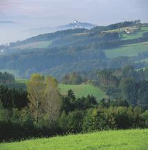 Landschaft