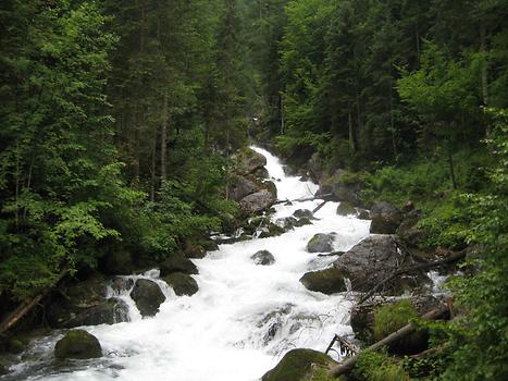 Echerntal, Waldbach