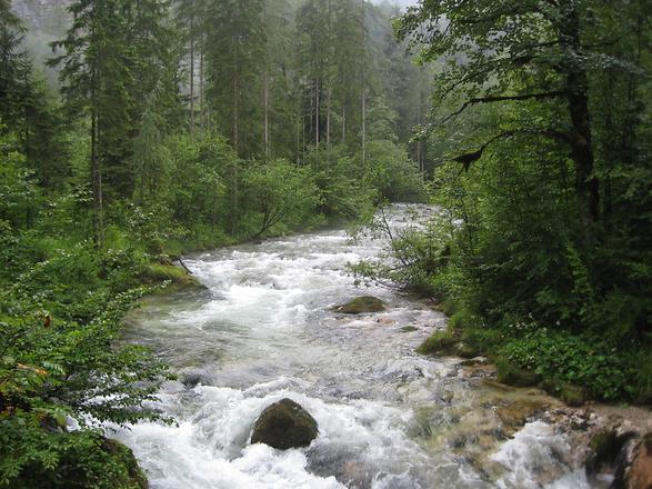 Echerntal, Waldbach