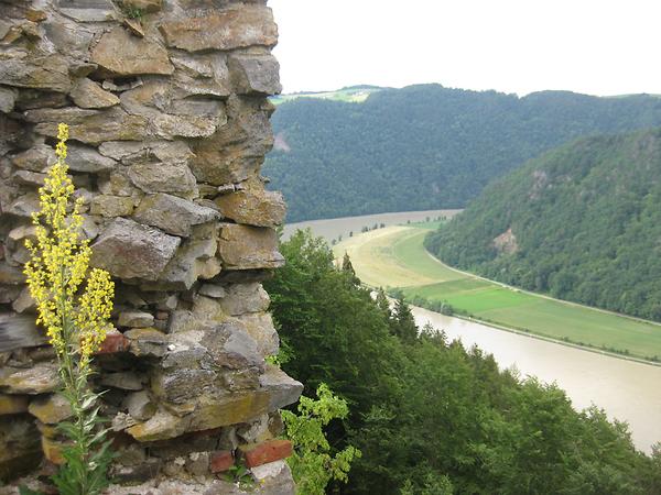 Burgruine Haichenbach Blick auf Donau