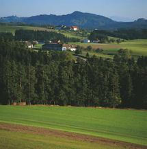 Mühlviertler Landschaft