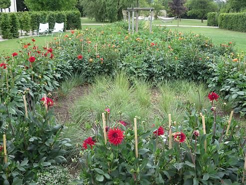 Landesgartenschau 2017