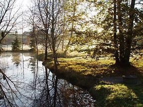 Moor in Gmös