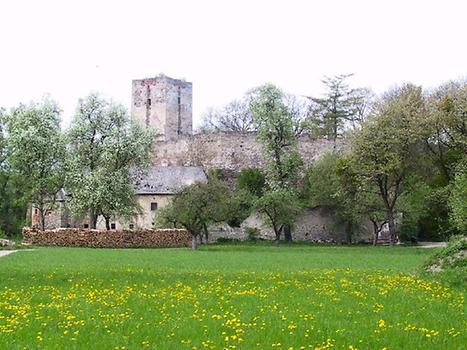 Burgruine Spielberg