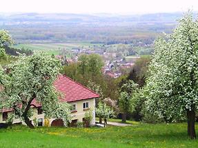 Blick vom Frankenberg auf Dorf Gusen