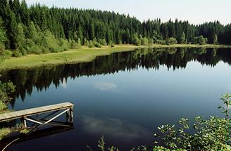 Schutzgebiet Rubenerteich