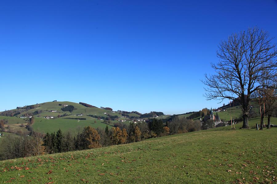 Blick zum Freithofberg