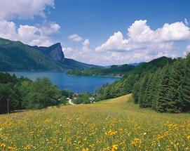 Mondsee (3)