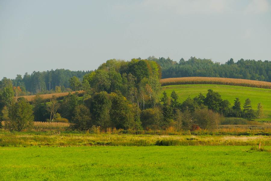 Neukirchen am Walde