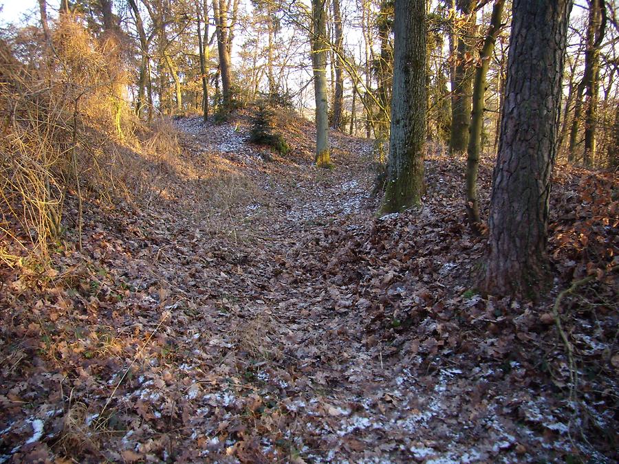 Ried in der Riedmark