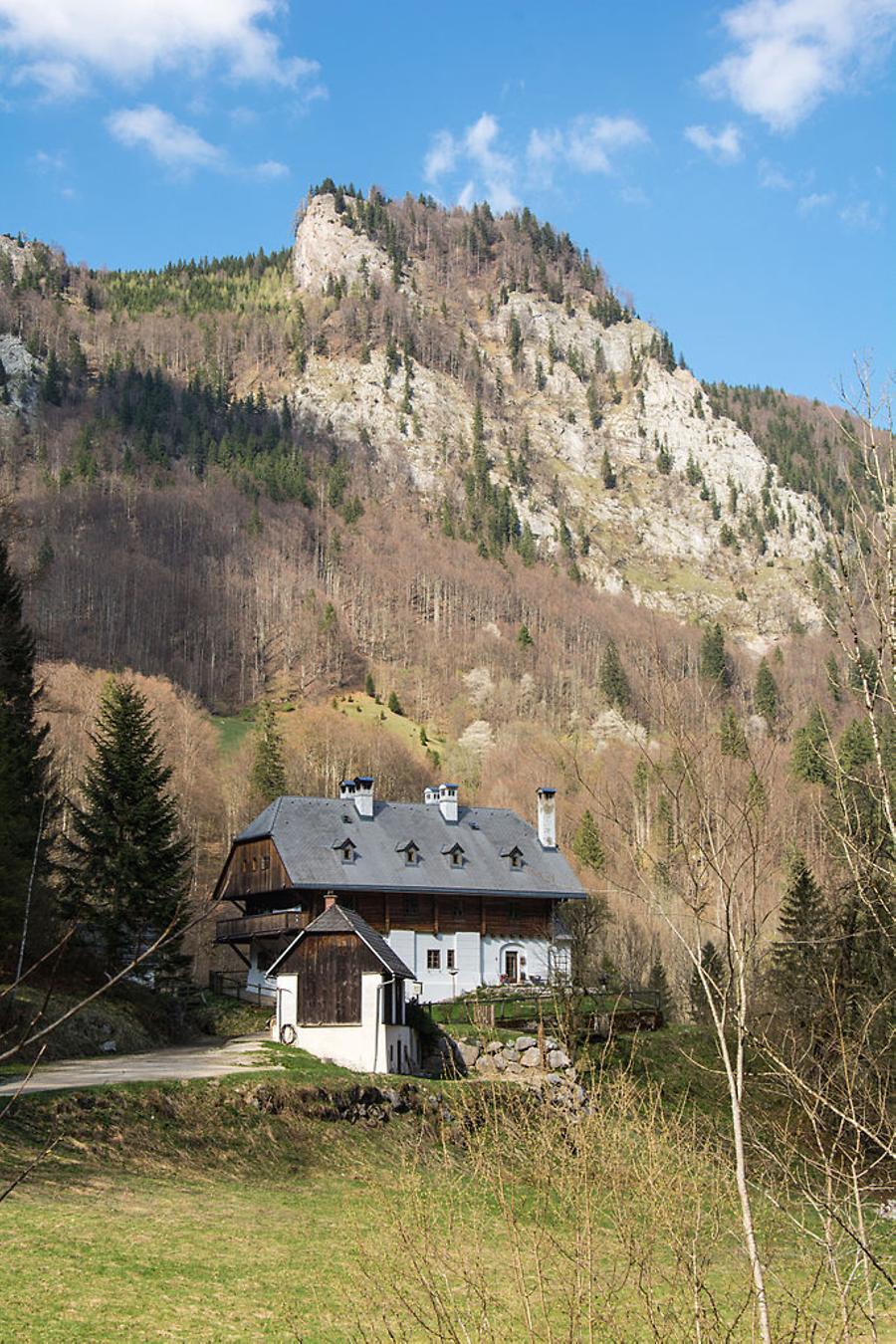Forsthaus