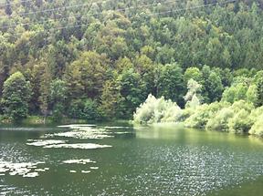 Schwarzensee