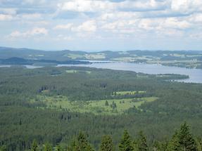 Blick auf den Moldaustausee (2)