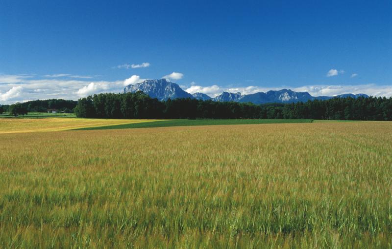 Vorchdorf