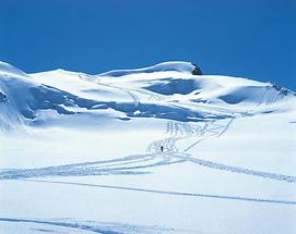 Pitztaler Gletscher