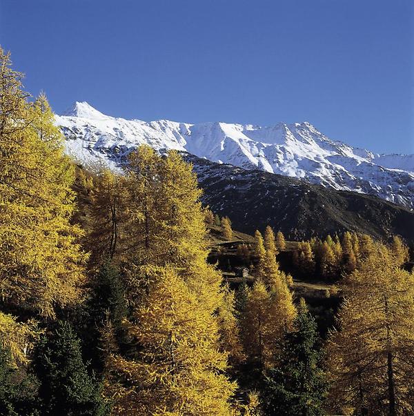 Kals am Großglockner