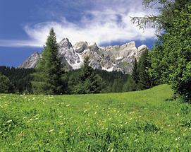 Lechtaler Alpen - Eisenspitze 4