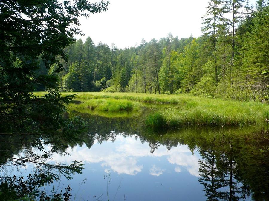 Tristachersee