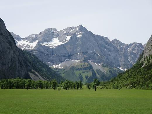 Großer Ahornboden