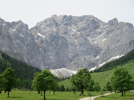 Großer Ahornboden