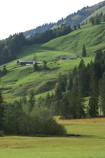 Alpe Kretzboden