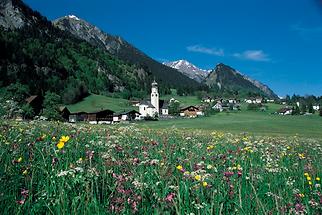 Wald am Arlberg im Sommer