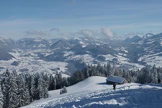 Blick nach Lingenau