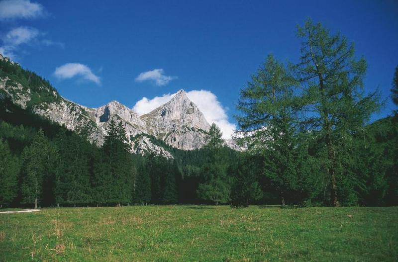 Admonter Kalbling. Foto: Österreich Werbung / Diejun