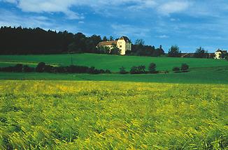 Schloss Obermayerhofen