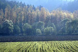 Fehring Landschaft