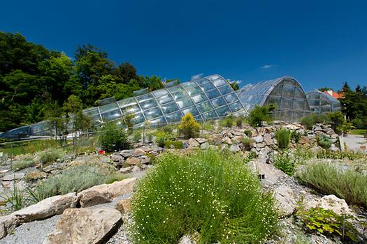 Botanischer Garten