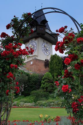 Schlossberg Rosengarten