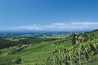 Landschaft bei Klöch