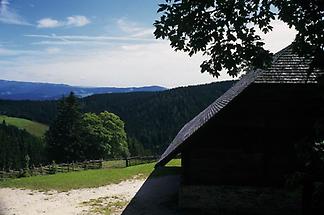 Blick vom Kluppeneggerhof in die Waldheimat (Alpl)