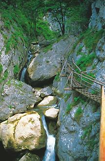 Bärenschützklamm