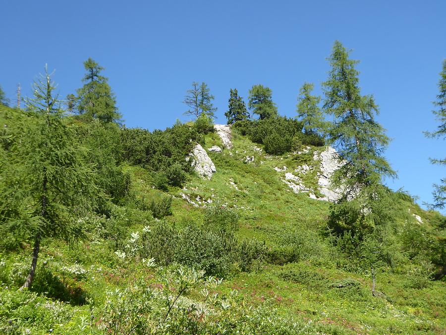 Wanderung Tauplitzalm