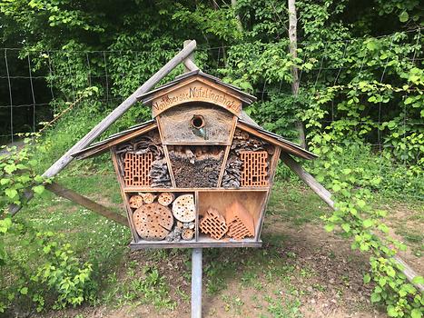 Burgberg - Erzherzog Johann-Sinnes- und Genussgarten, Insektenhotel