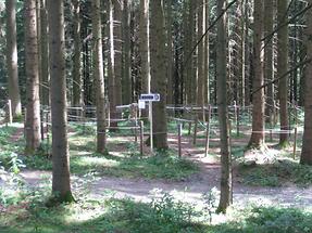 Weg der Labyrinthe