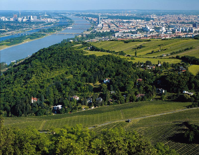 Blick auf Wien vom Leopoldsberg