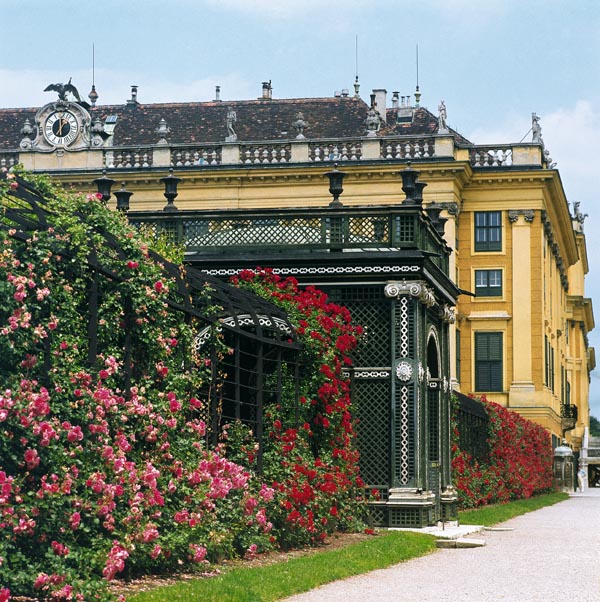 Schloss Schönbrunn - Rosengarten