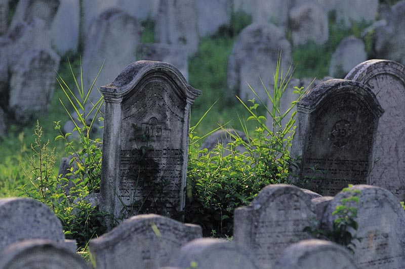Jüdischer Friedhof in Eisenstadt Eisenstadt Burgenland Bilder im