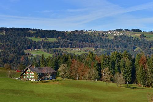 Blick auf Sulzberg Sulzberg Vorarlberg Bilder im AustriaForum