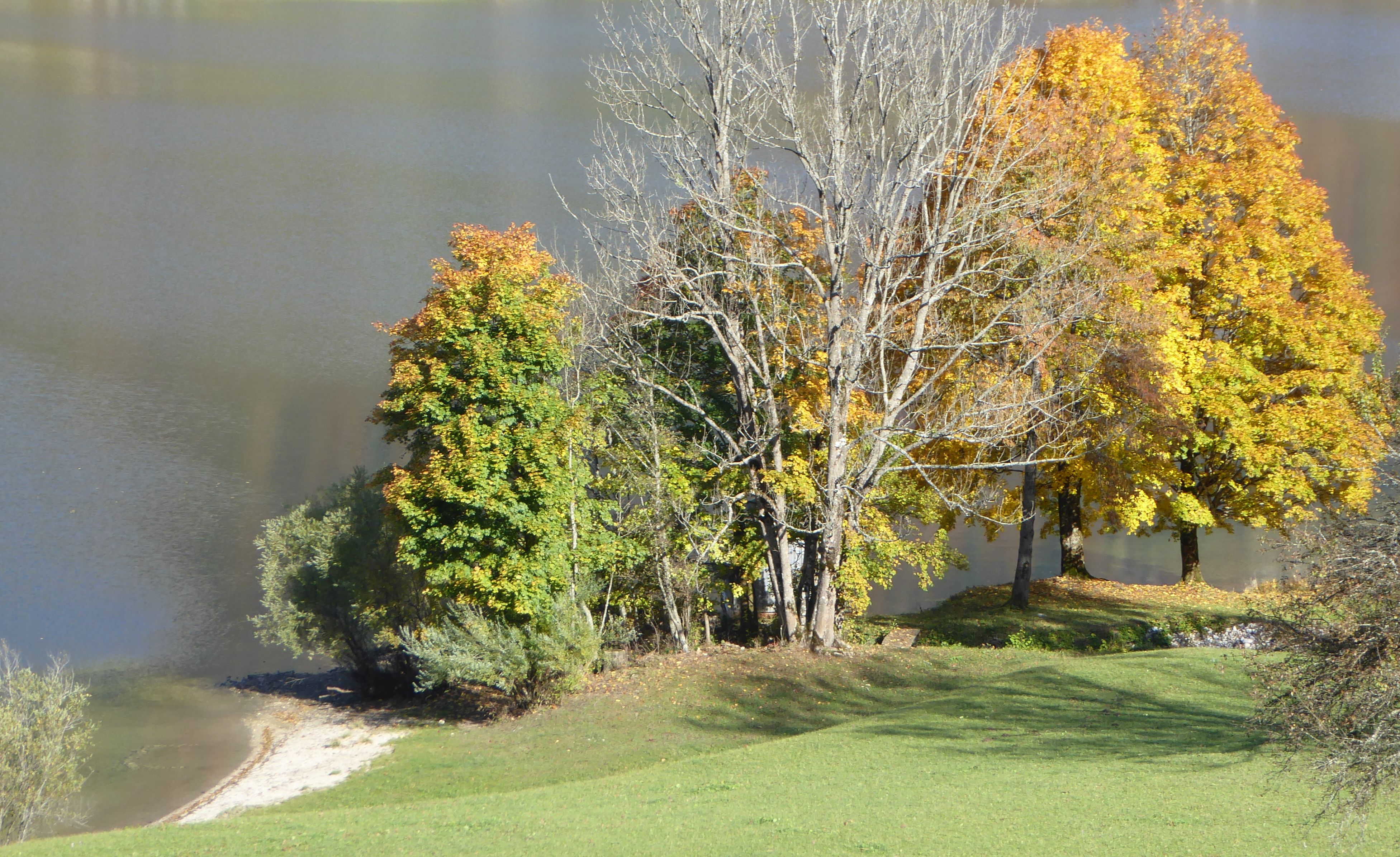 Badestelle am Südufer | Grundlsee | Bildlexikon Steiermark | Bilder im