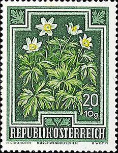 Briefmarke Buschwindröschen