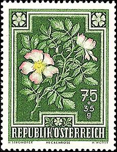 Briefmarke Heckenrose