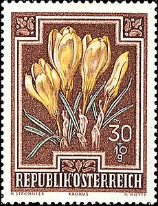 Briefmarke Krokus