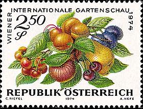 Gartenschau - Obst