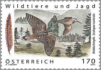 Briefmarke, Waldschnepfe